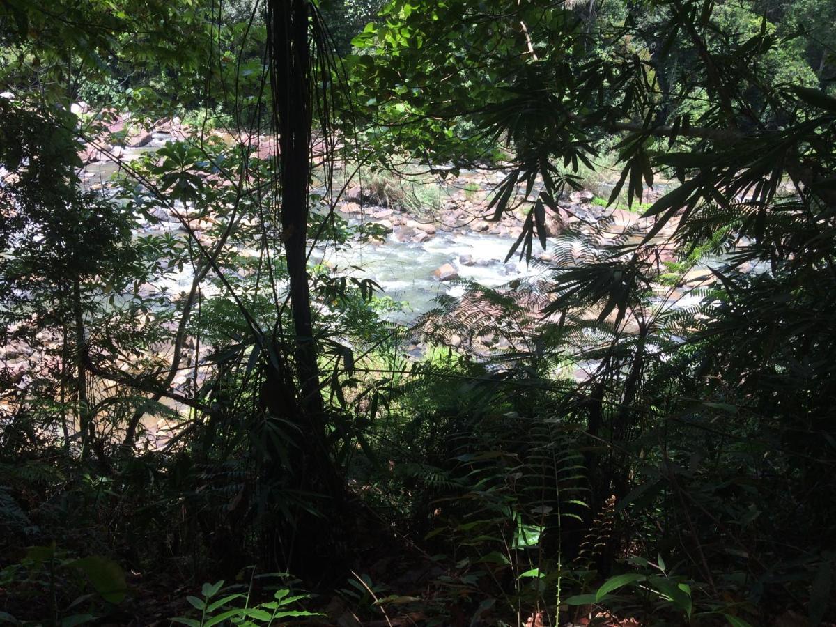 Sinharaja Forest Edge Deniyaya Kültér fotó
