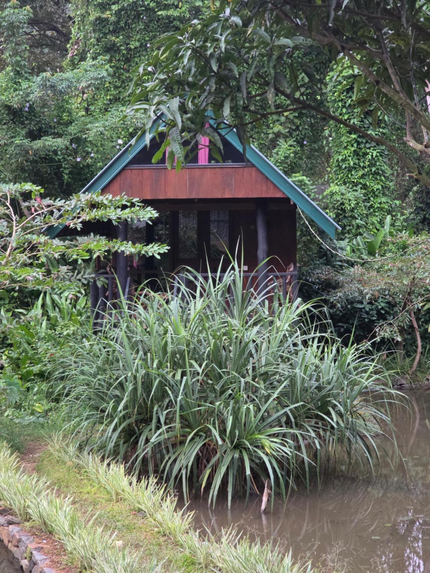 Sinharaja Forest Edge Deniyaya Kültér fotó